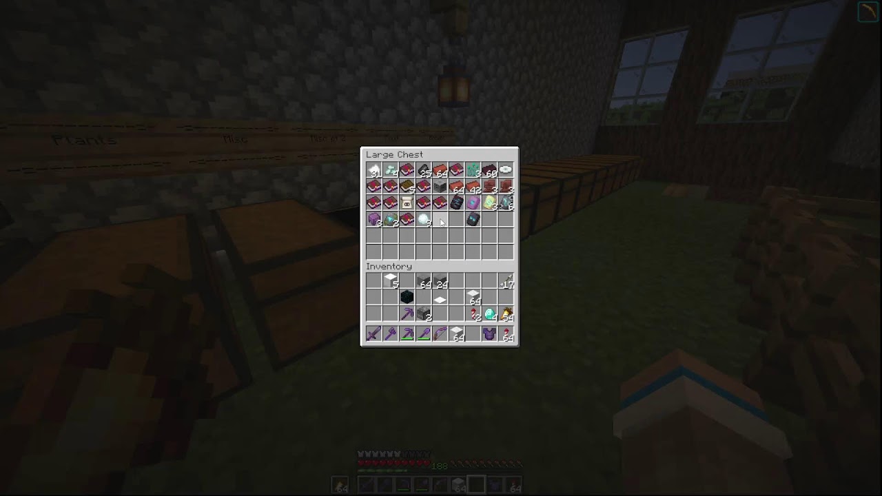 The Quest to Beat the Warden on The Boys SMP