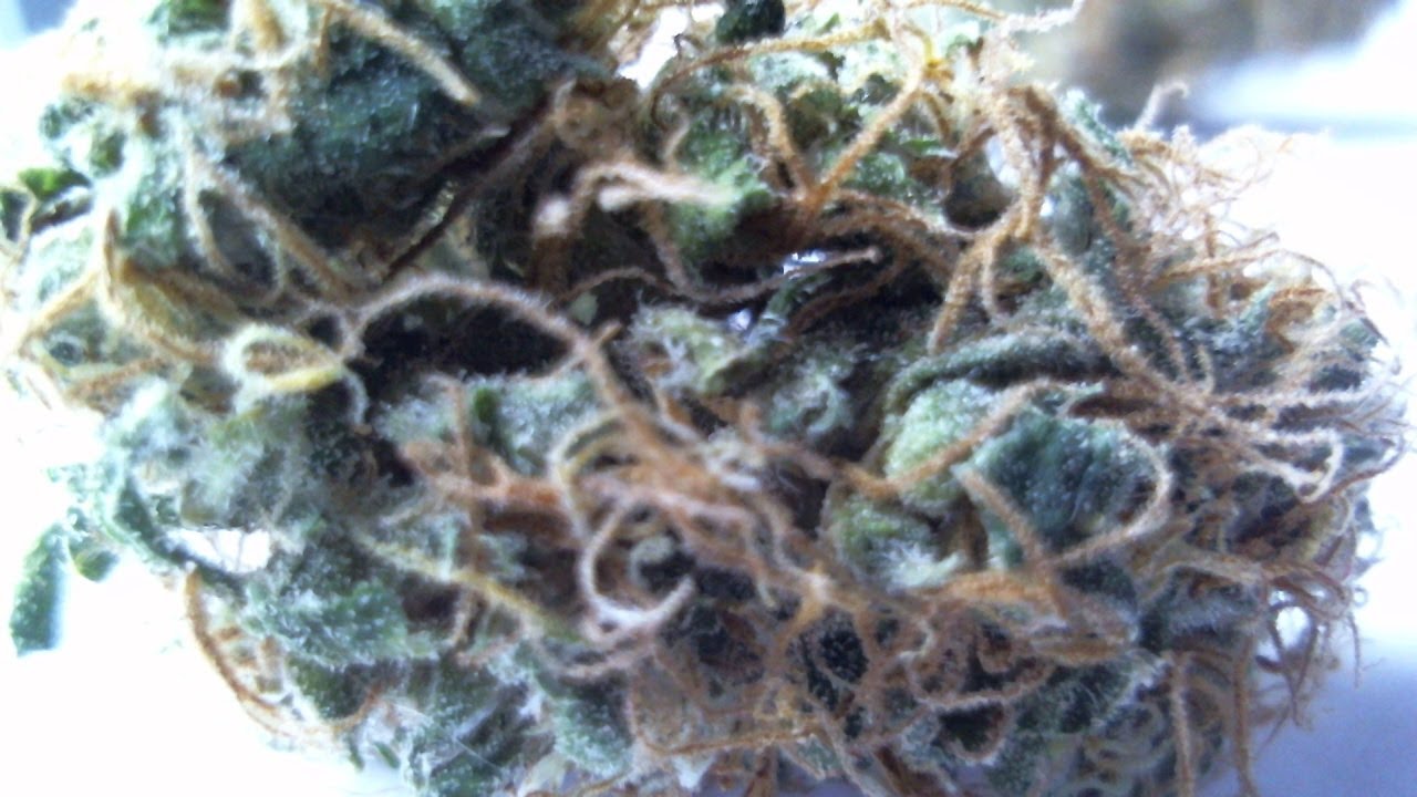 Tokin Dave's Bracelet's are here!!!!!!!!!!!!!!!!!!!!!!!!