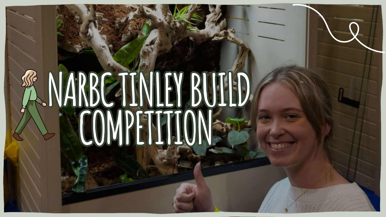 NARBC Tinley BUILD OFF 2025: Building My First Spray Foam Reptile Background In Under 4 Hours??