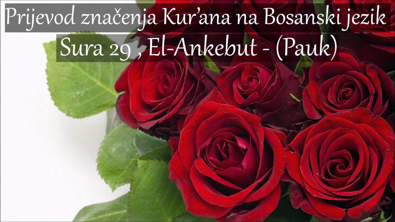 Sura 29 , El-Ankebut - (Pauk) Prijevod na Bosanski [HD]