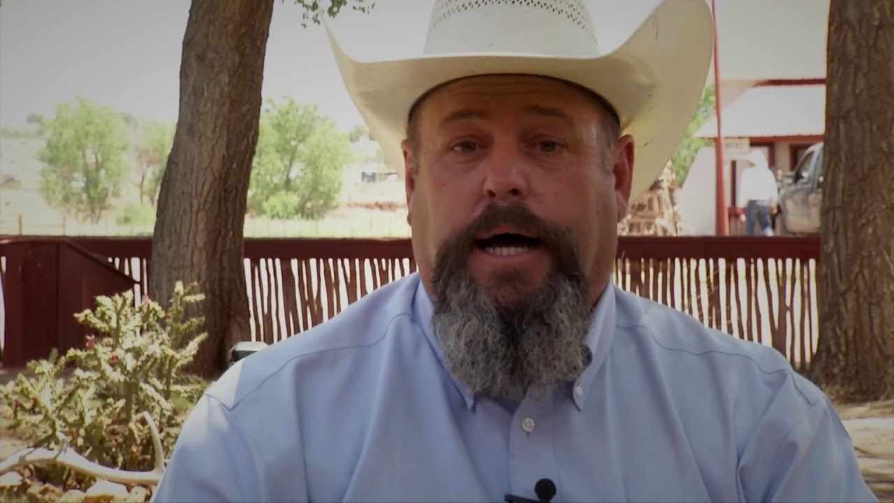 2017 Zoetis AQHA Best Remuda Award Winner – Silver Spur Operating Co.