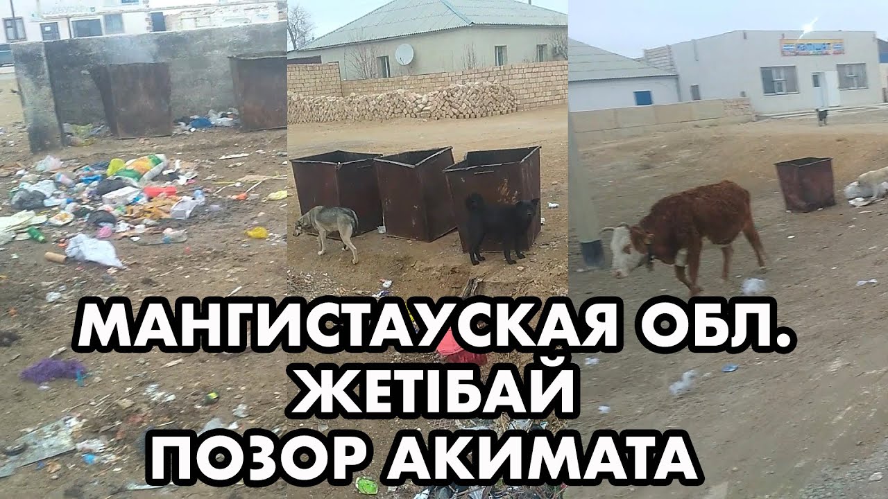 ЖЕТІБАЙ | ПОЗОР АКИМАТУ СЕЛА