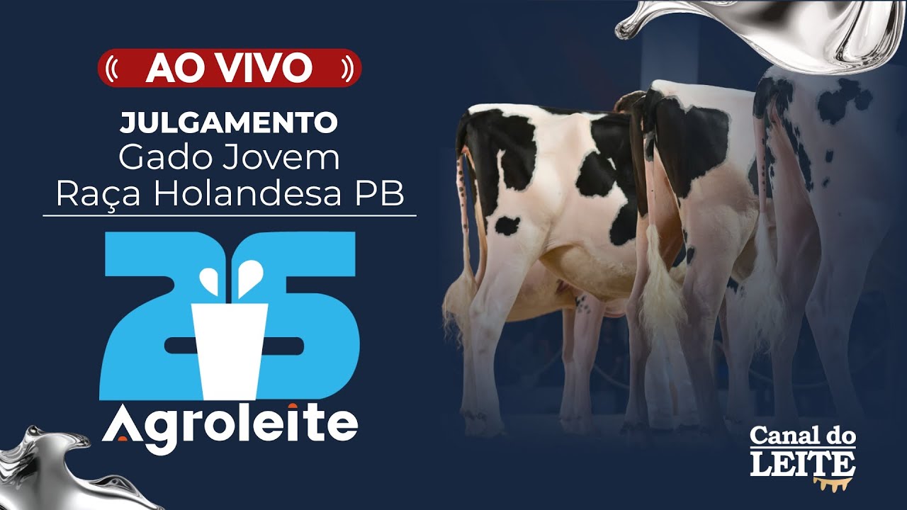Agroleite 2025 - Julgamento do Gado Jovem da Raça Holandesa Preto e Branco