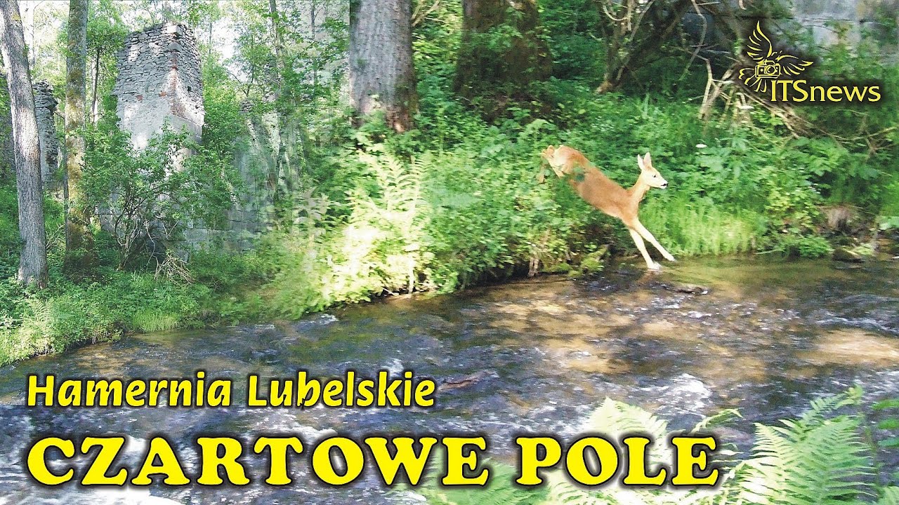 Rezerwat Czartowe Pole. woj. Lubelskie Hamernia. Ruiny papierni. Ścieżka Dydaktyczna.
