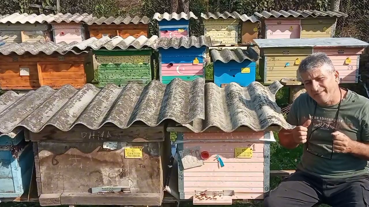 Ana arının qış izolyasiyası haqqında.