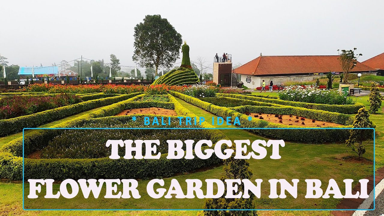 THE BLOOM GARDEN BALI | BIGGEST FLOWER GARDEN IN BALI | BALI TRAVEL GUIDE