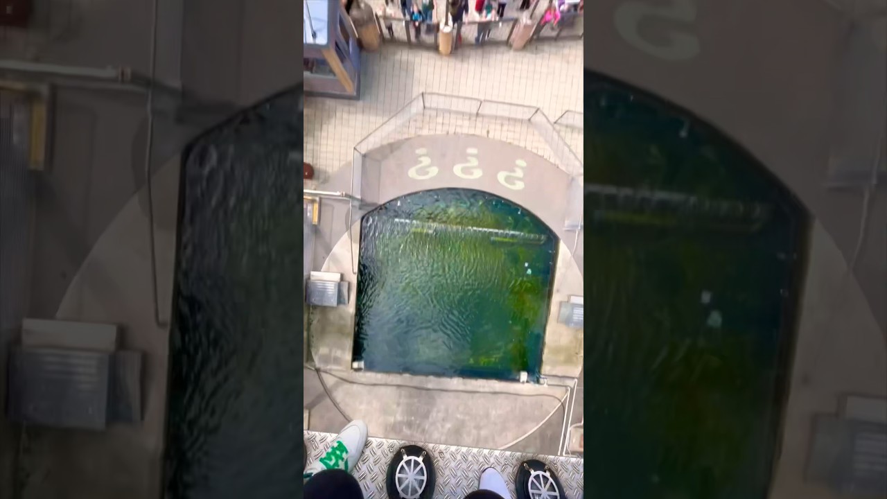 Ich will nicht ins Becken fallen!🪤 😱😂 NYC Transformer Onride  Freddy goes to Movie Park Germany
