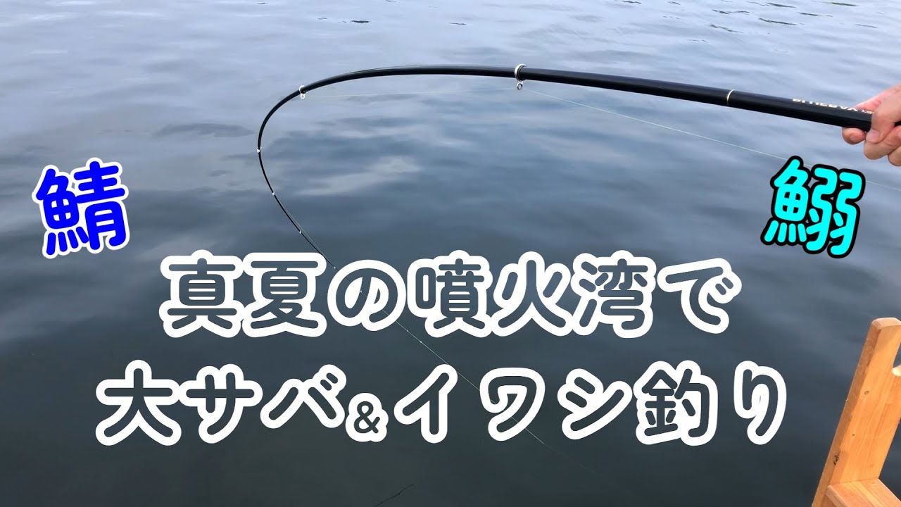 真夏の噴火湾で大サバ＆イワシ釣り