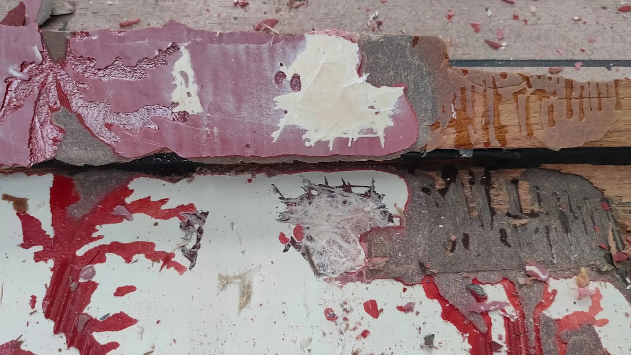 Ocean Alexander 45 Divergence Sport 2020