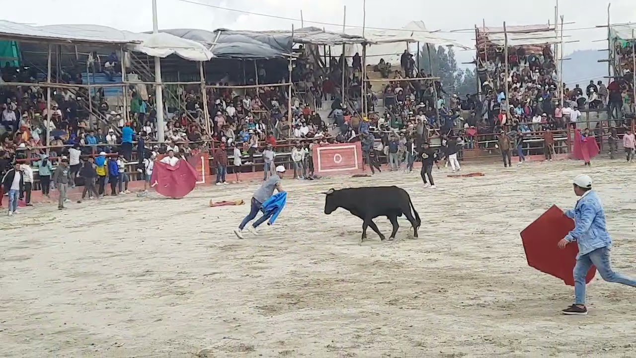 CALPI 2024 TOROS DE PUEBLO