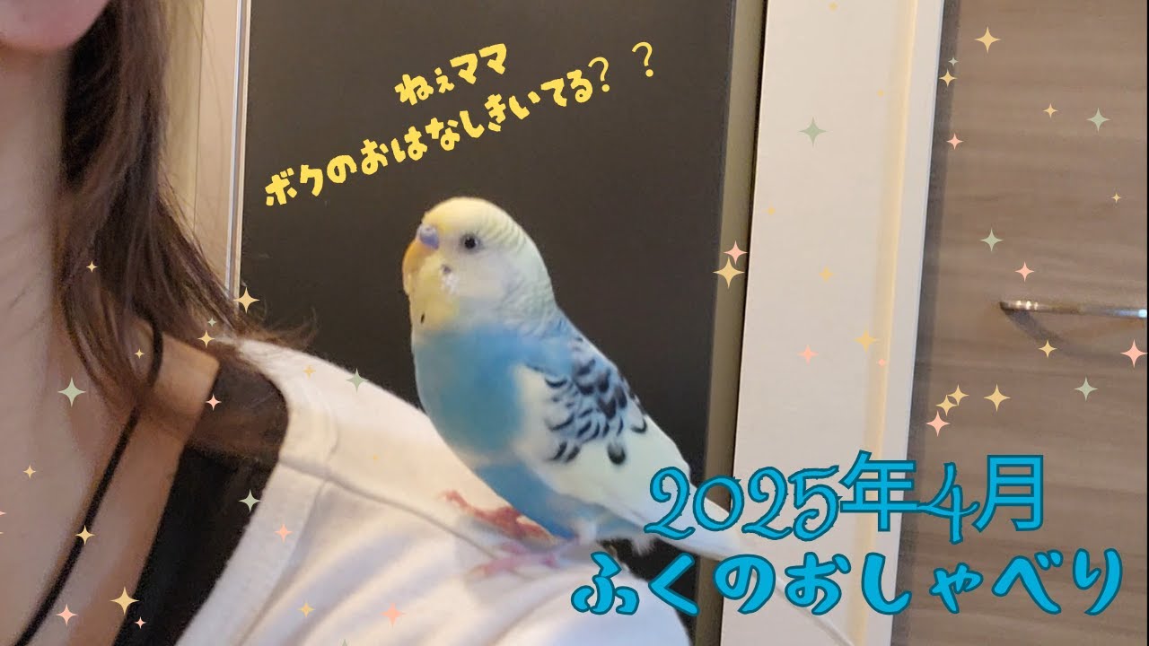 #031 20240424　ふくのおしゃべり2025年4月編