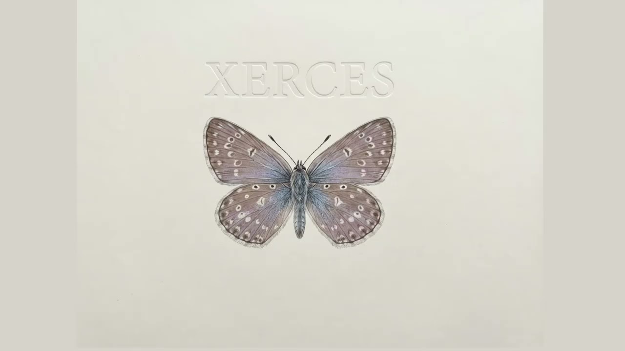 Xerces