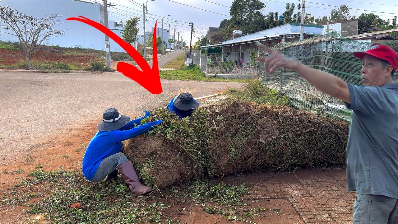 NEIGHBORS Called It a DIRTY JOB ! I Cleaned 1km of Sidewalk to Prove Them Wrong!