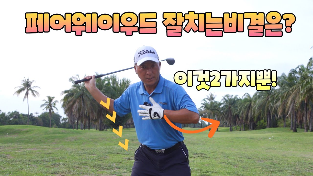 페어웨이우드 잘치는 비결 이것 2가지가 당신을 변신시킵니다 01054786658 용아저씨리뷰