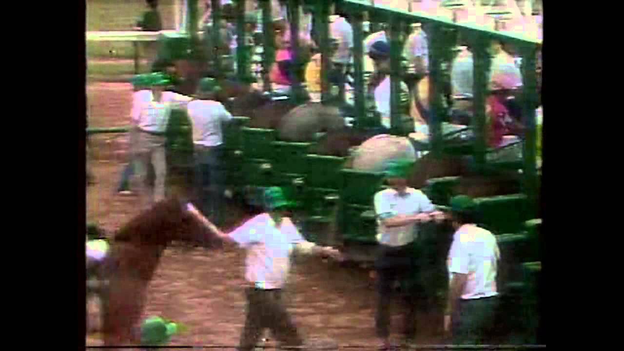 SWALE - Kentucky Derby 1984