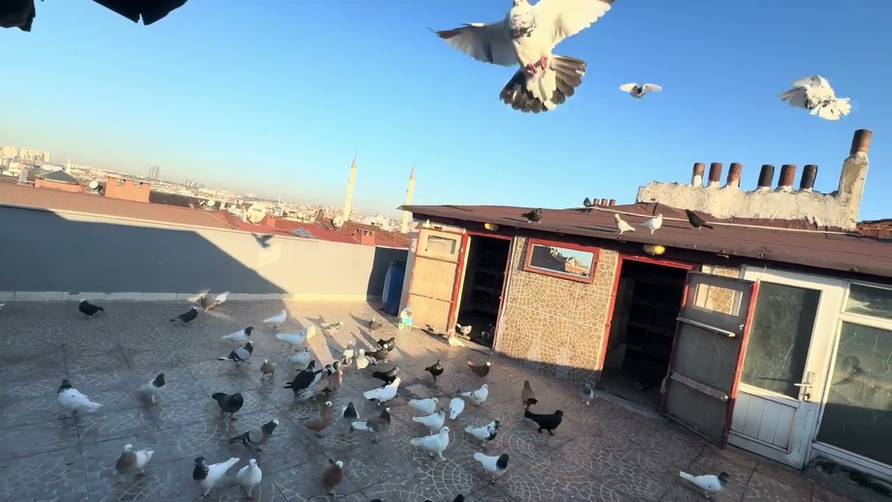 KAÇAK YAKALAMA KAR GELİYOR TAKİPTE KALIN