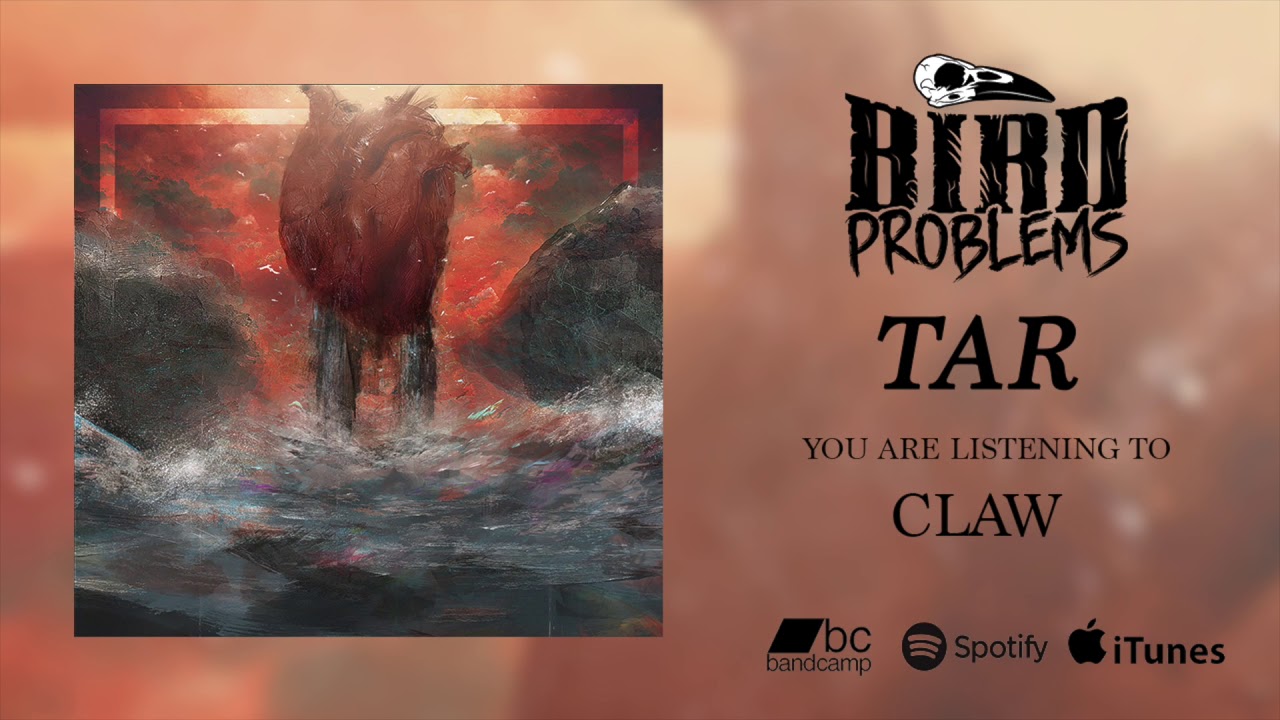 Bird Problems - Claw