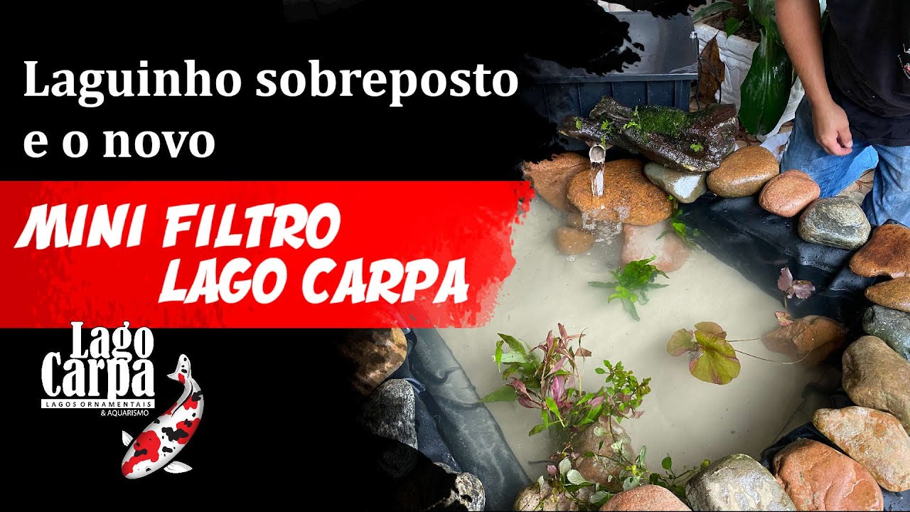 Lago Sobreposto e o nosso novo MINI FILTRO LAGO CARPA