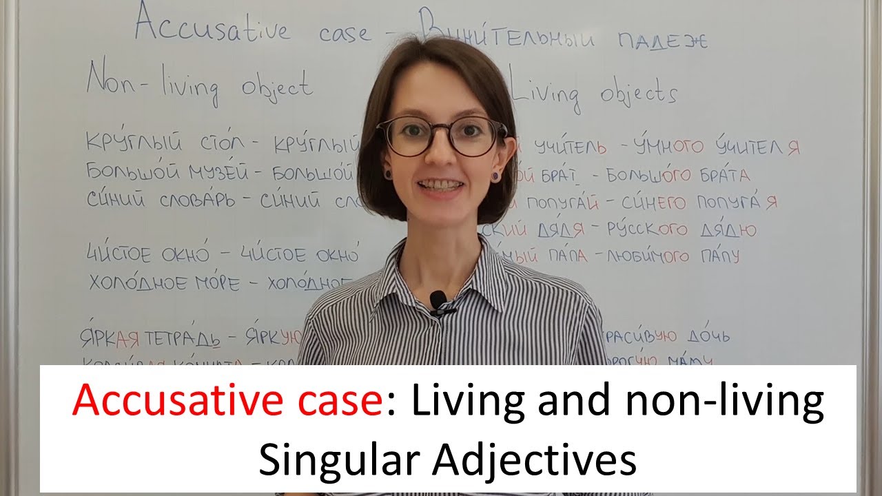 Accusative case in Russian. Singular Adjectives