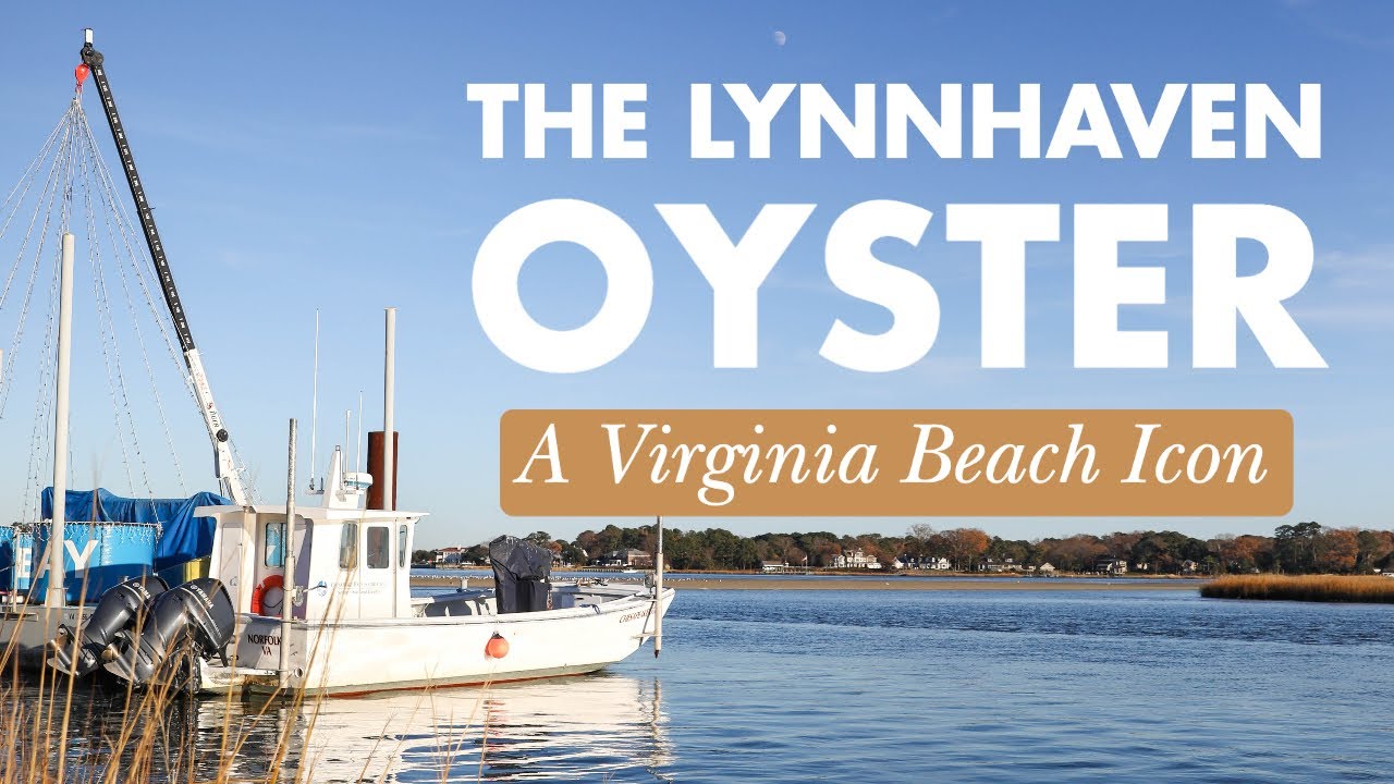 The Lynnhaven Oyster: A Virginia Beach Icon