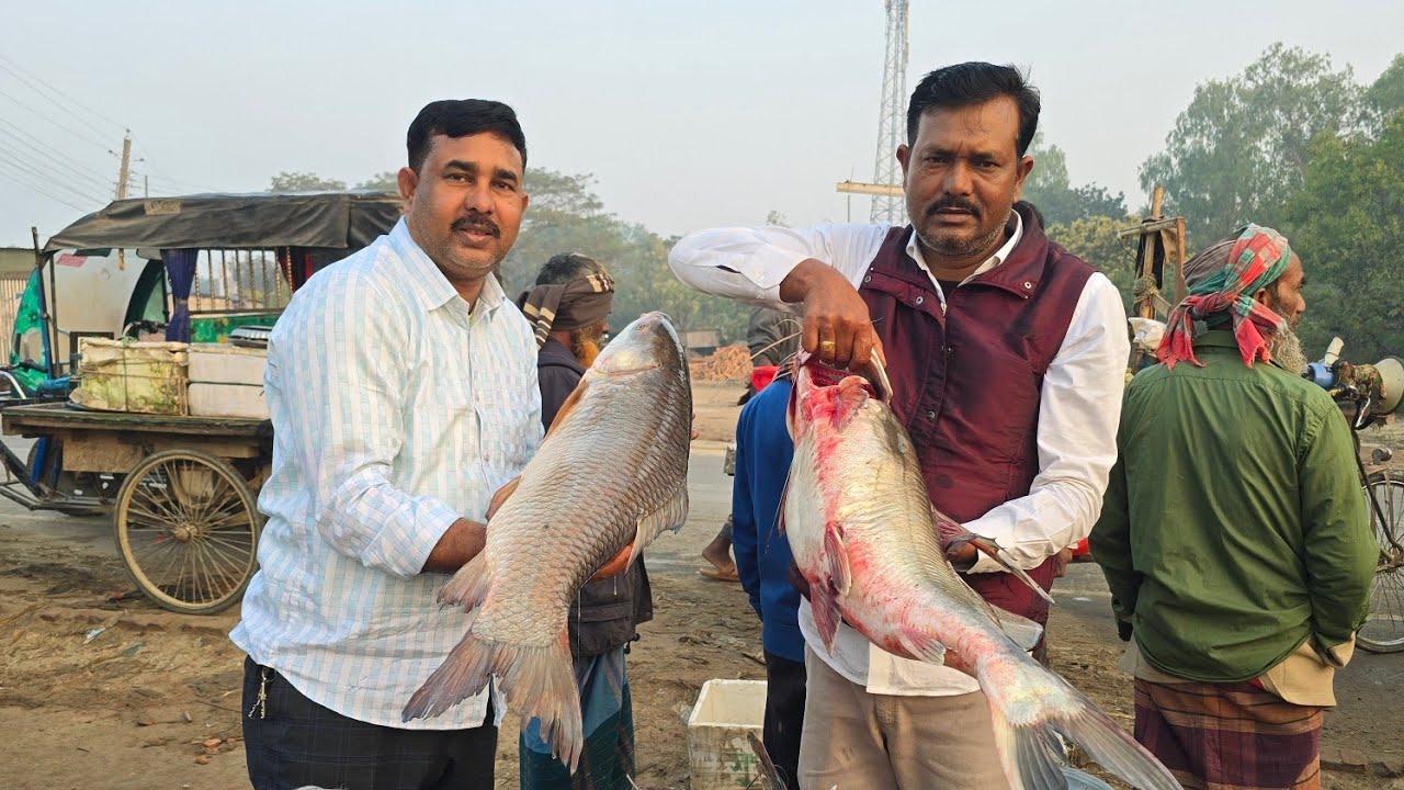 পদ্মার যে কোন মাছের জন্য এখনি যোগাযোগ করুন:-01712-293380..