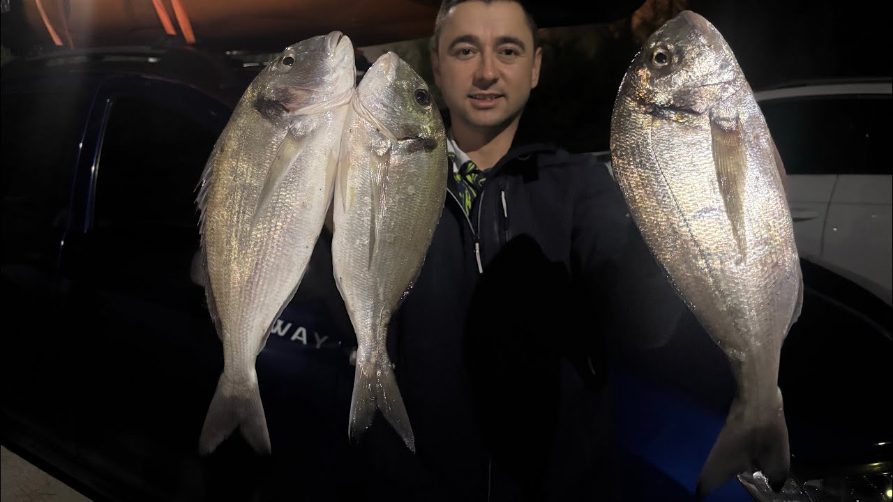 KASIM ÇİPURALARI MERALARI BASTI! Tai Rubber ile Çupra Yakalanır mı? Balıkçı Kanosu ile Çipura Avı.