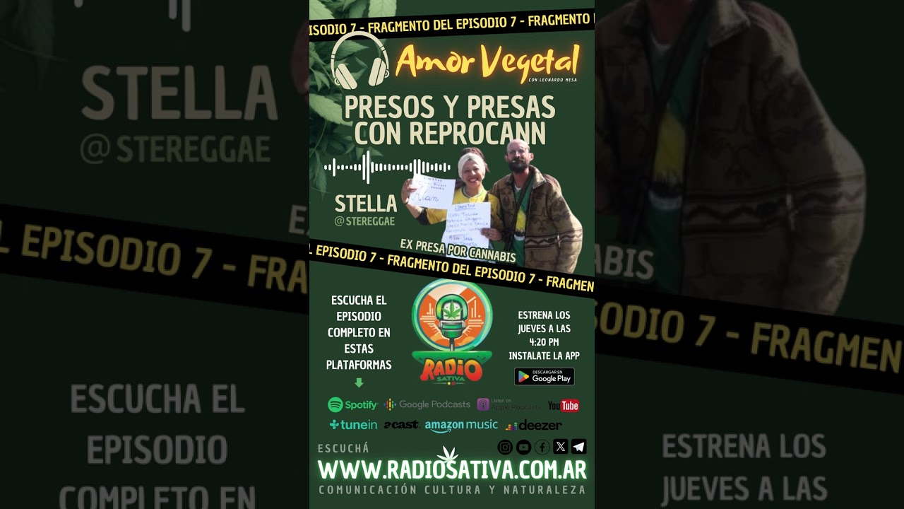 PRESOS Y PRESAS CON REPROCANN #shorts