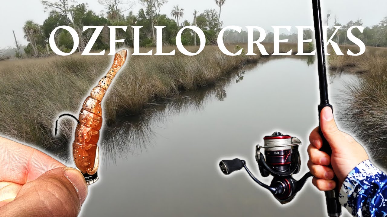 Foggy Ozello Fishing During a Cold Front — Stumbled Into a Creek Full of HUGE Fish!