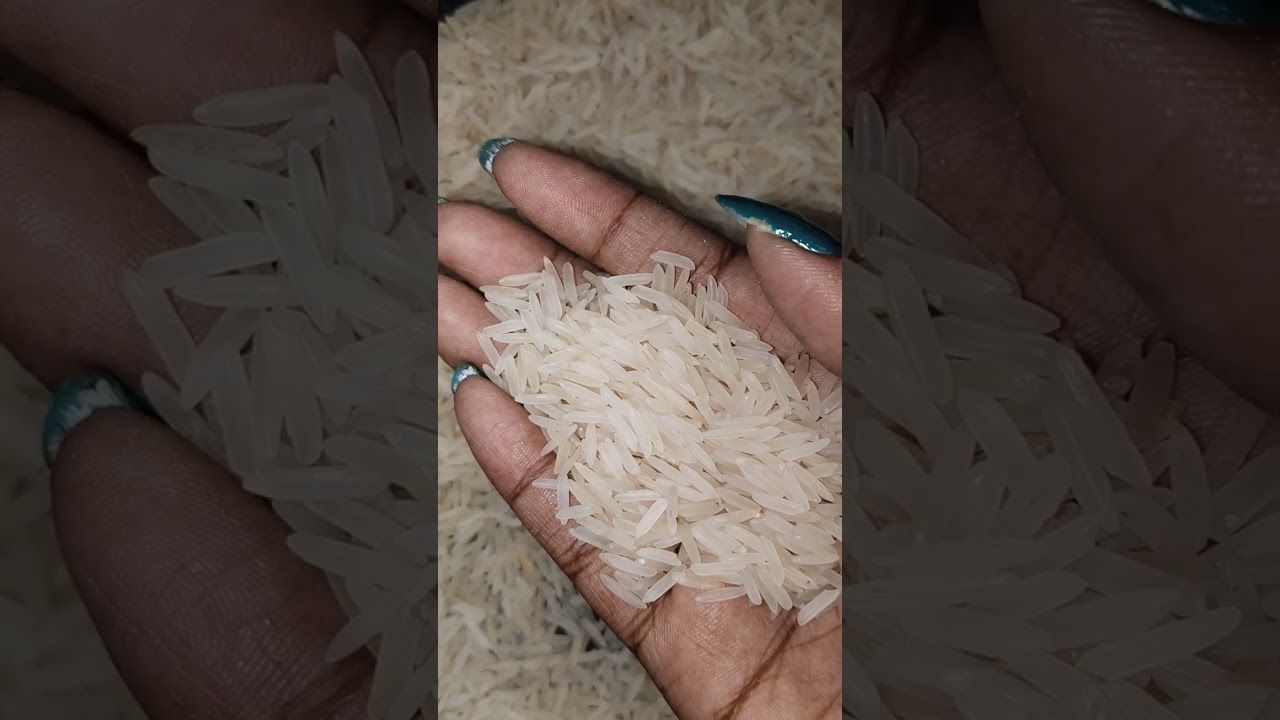 Long grain baskati Rice Eating Raw Rice