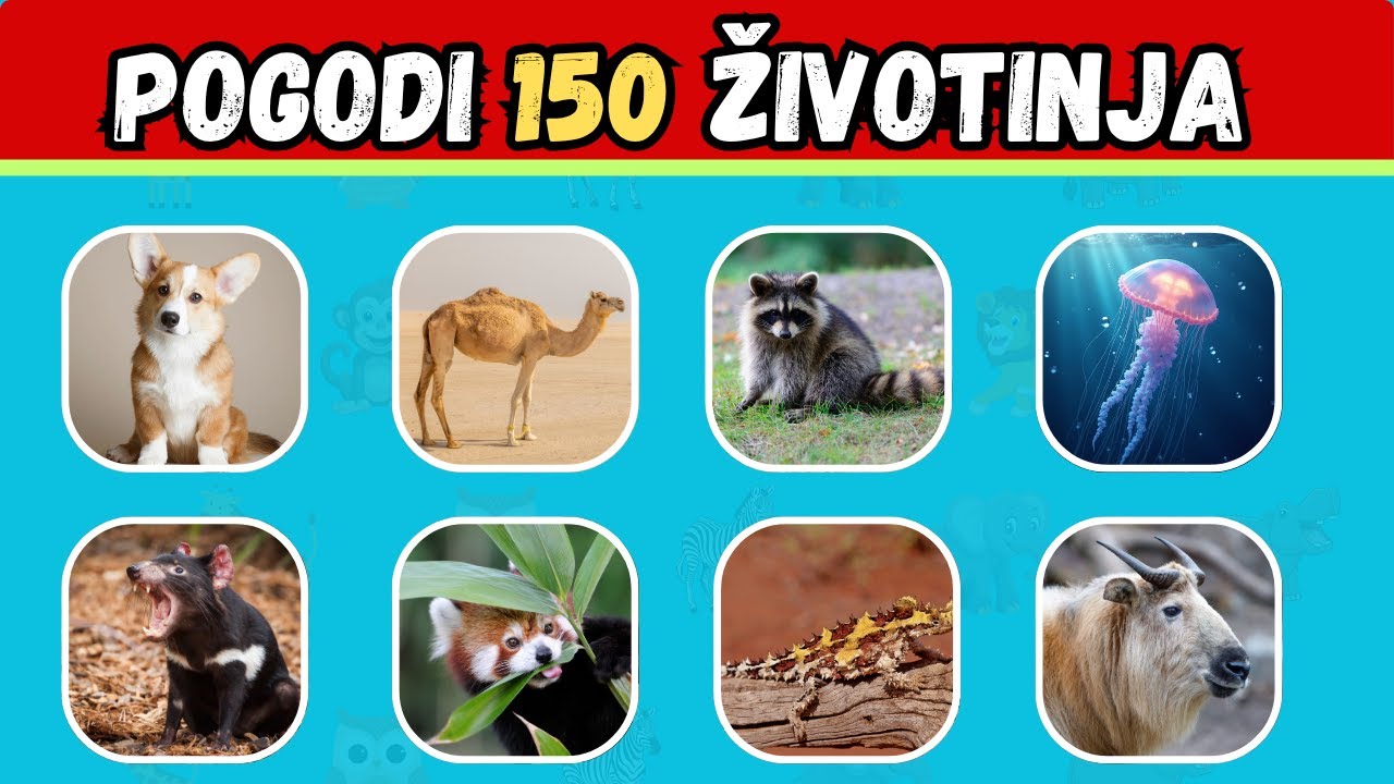 🧠POGODI 150 ŽIVOTINJA  iz celog sveta!🐘🦉 Izazov za celu porodicu!🦩🦜