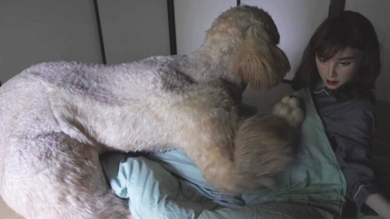 【Morning Routine】民宿暮らし女優と大型プードルのモーニングルーティン