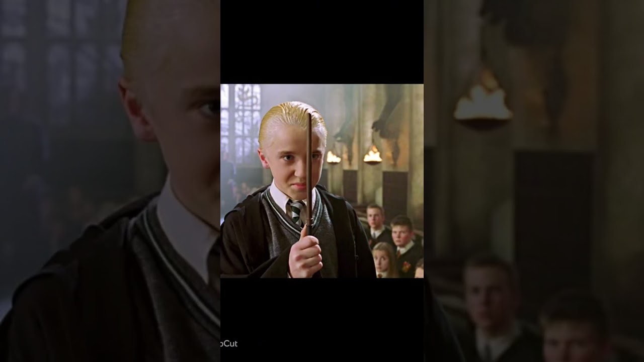 #harrypotter #potterverse