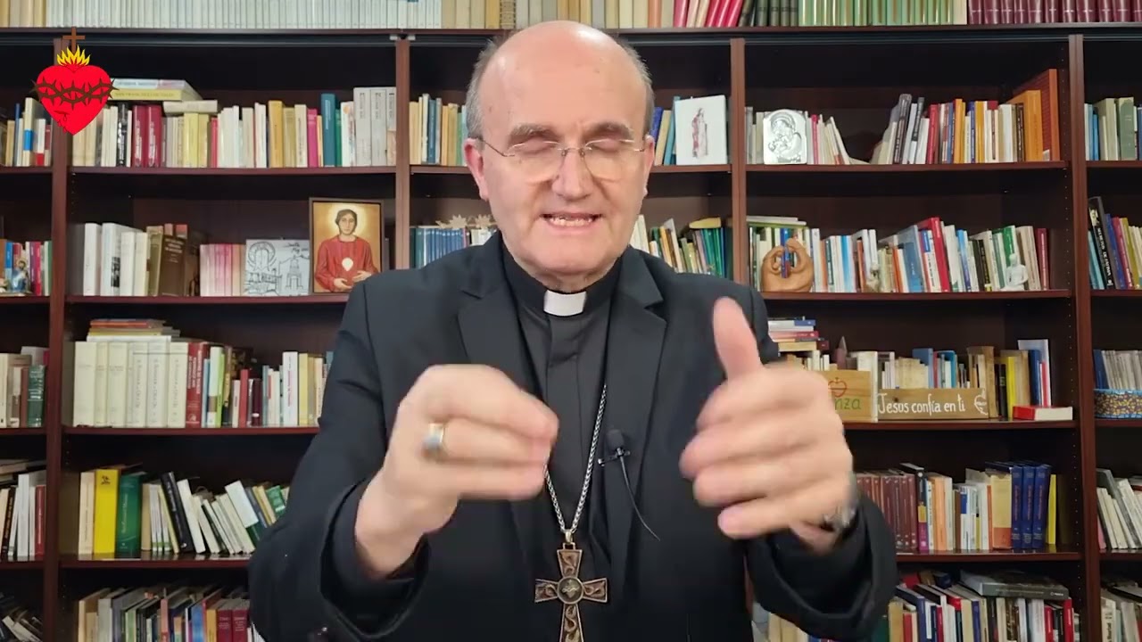 Homilia 8.2.2026 / Domingo 5.º do Tempo Comum