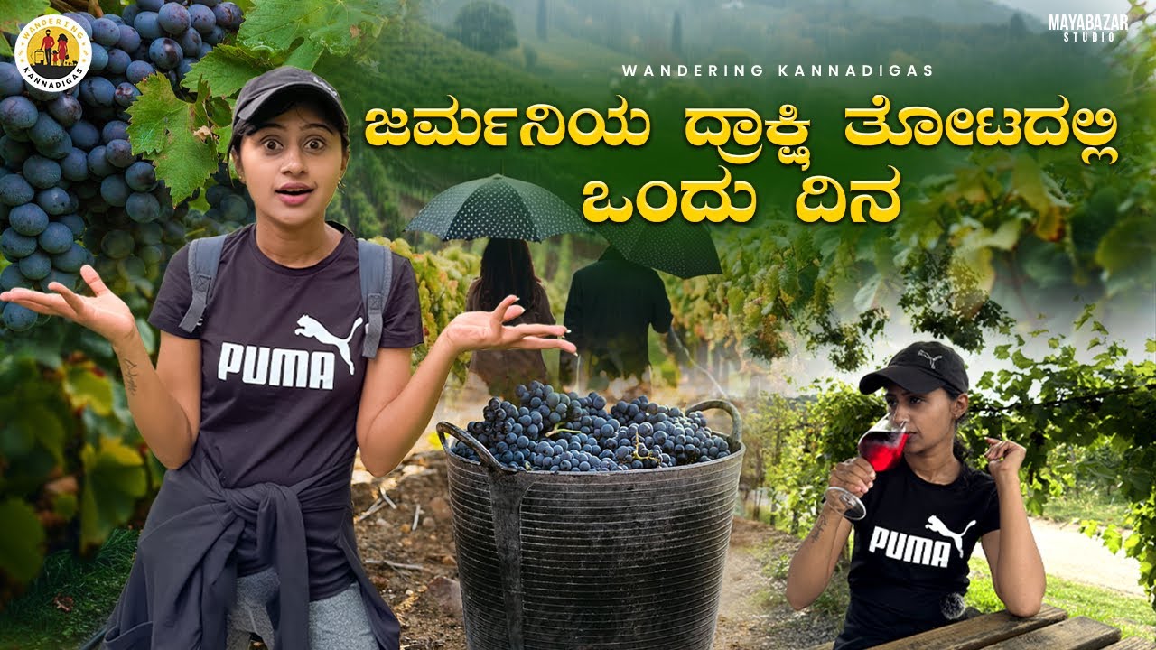ಜರ್ಮನಿಯಲ್ಲಿ ದ್ರಾಕ್ಷಿ ಹೇಗೆ ಬೆಳೆಯುತ್ತಾರೆ ನೋಡಿ| Vineyard hike #germanvillagelife#kannadavlogs#travel