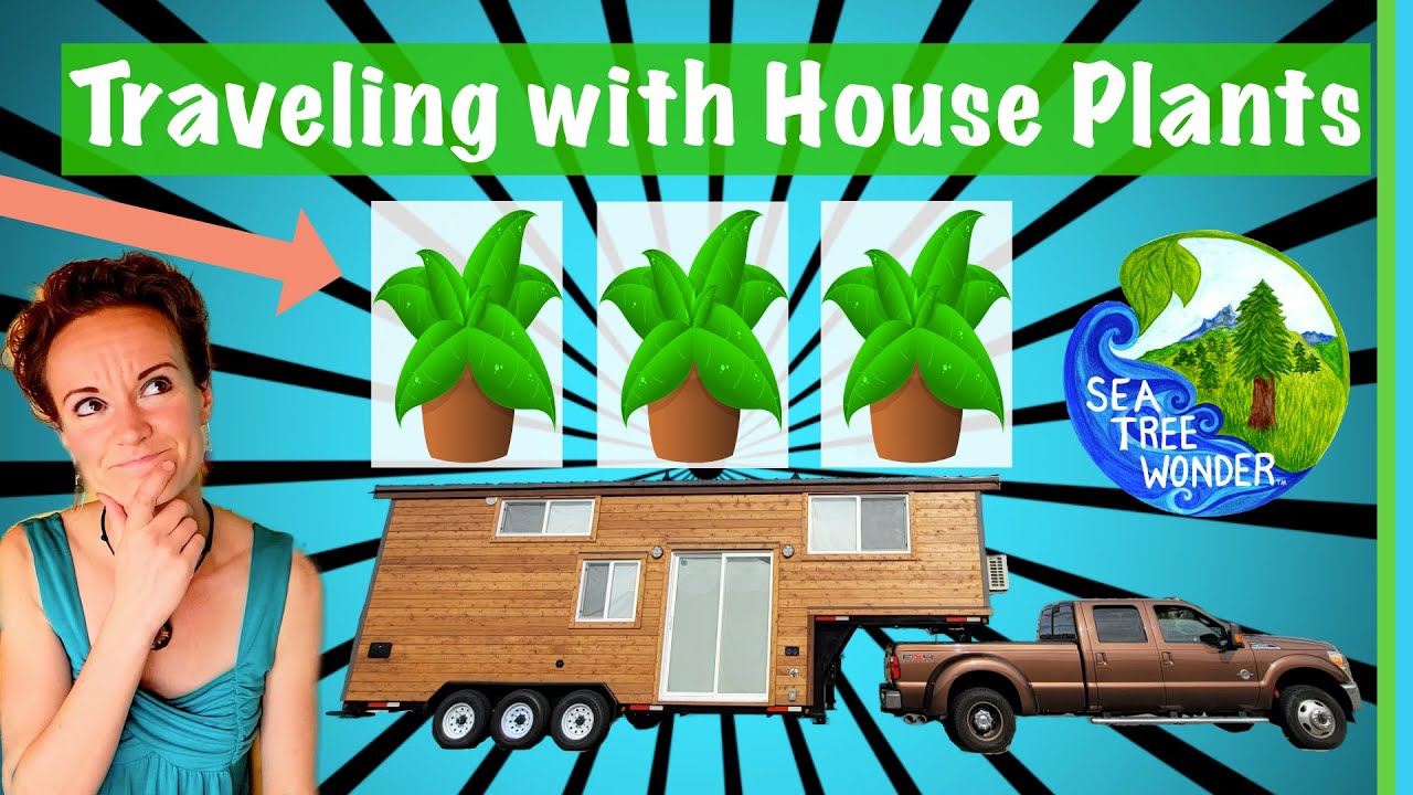 TRAVELING Tiny HOME & RV House PLANT Ideas - Decor & Display Solutions