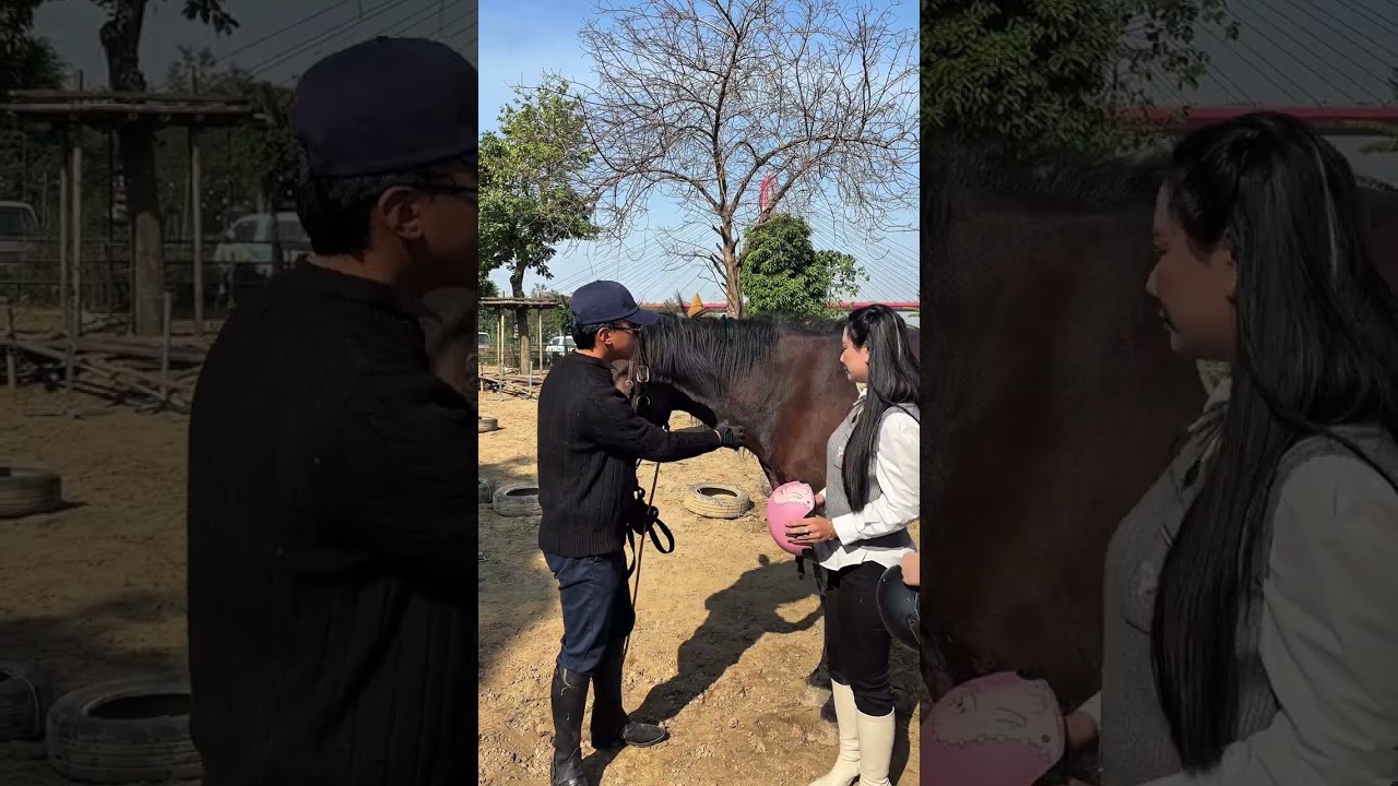 [Podcast] Dấu xưa trên lưng ngựa