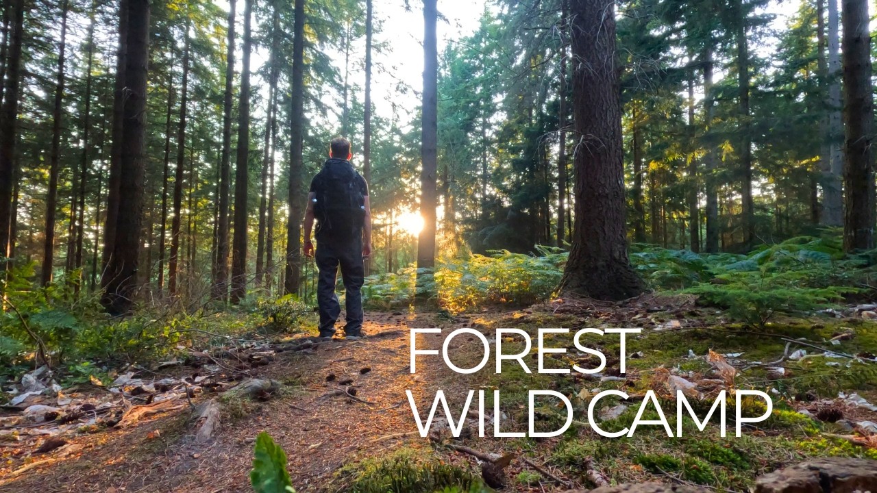 Alone in the Forest - Solo Wild Camp (POV)