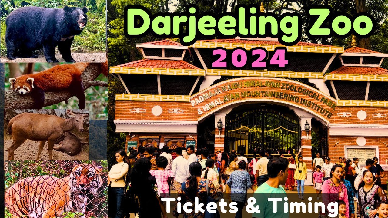 DARJEELING ZOO 🦁| दार्जीलिंग चिड़ियाघर |Padmaja Naidu Zoological | best place in Darjeeling |