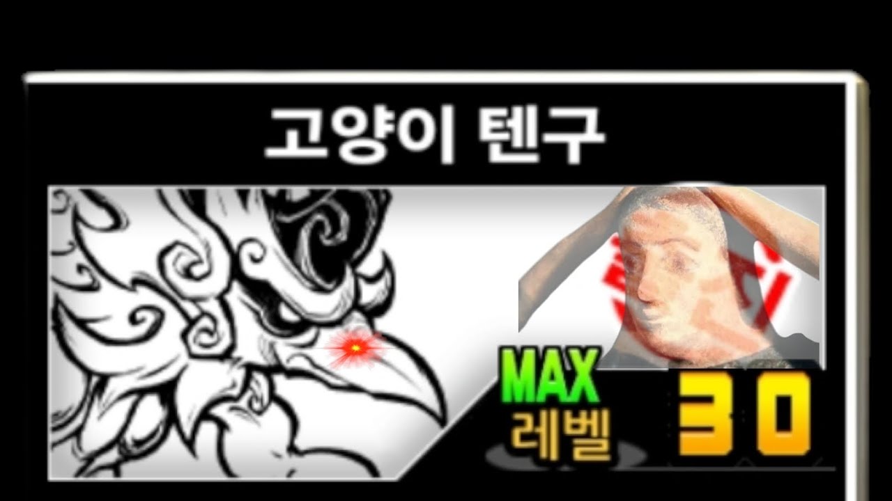 냥코 