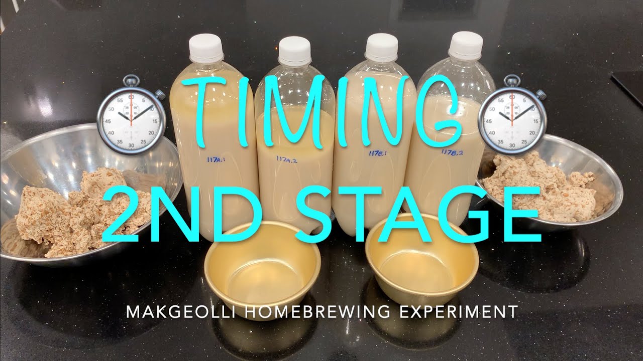 TIMING 2nd stage ⏱️ 막걸리 makgeolli brewing experiment / homebrewing Korean rice wine