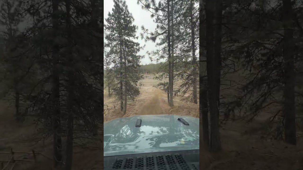 ORV park fun | Jeep Gladiator Mojave
