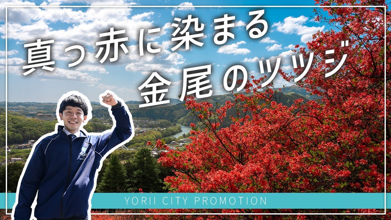 【寄居町公式】真っ赤に染まる金尾のツツジ（みやかわの動画）