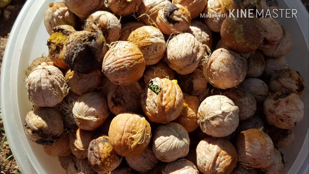 Malatya - Pütürge - Ve Köyleri #malatya #huzur #köy #memleket #pütürge