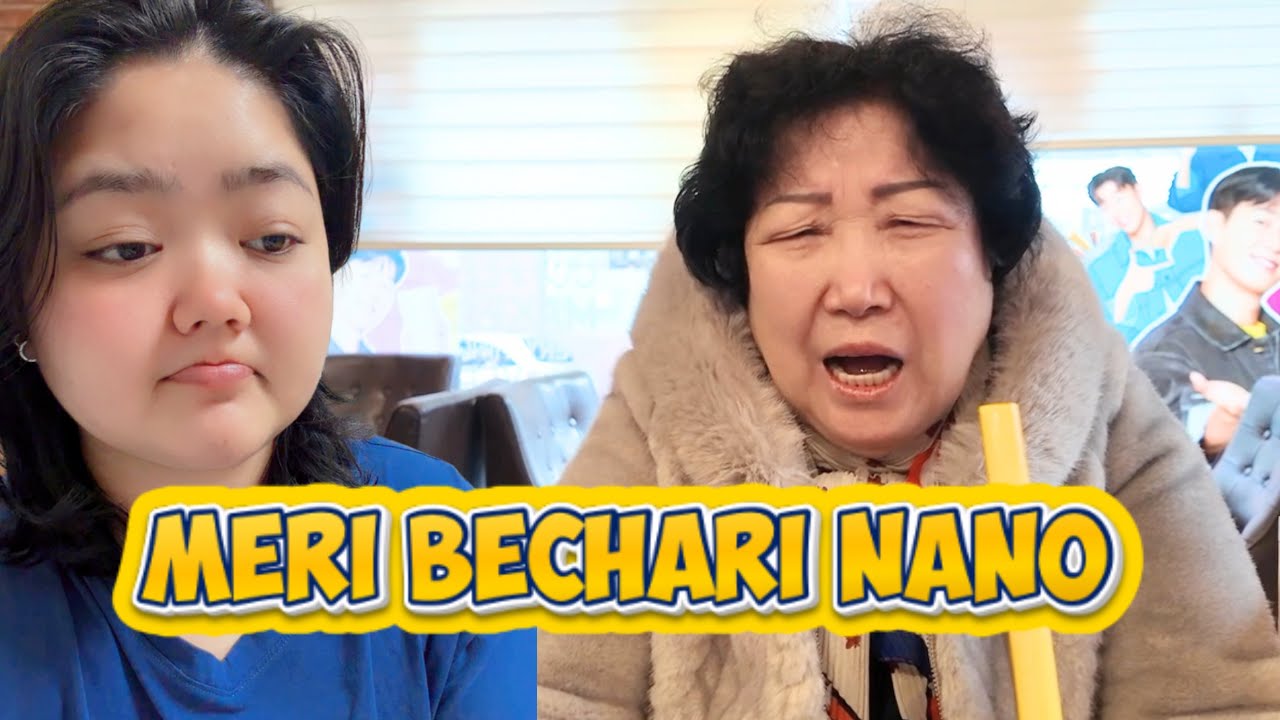 Nano Ko Apna Faisla Mehnga Par Gaya 😭| Lunar New Year Ki Tyari| Desi Korean