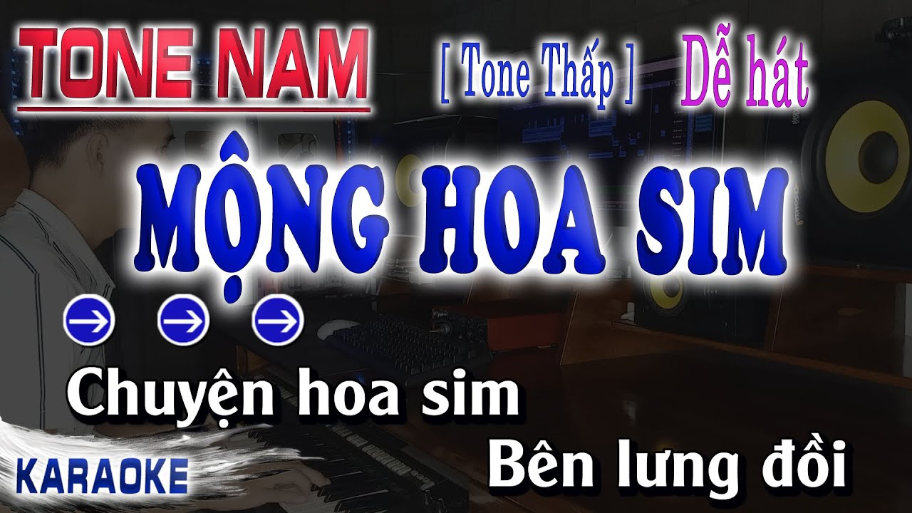 Mộng Hoa Sim Karaoke Tone Nam Beat Chuẩn ( Tone Thấp Dễ Hát )