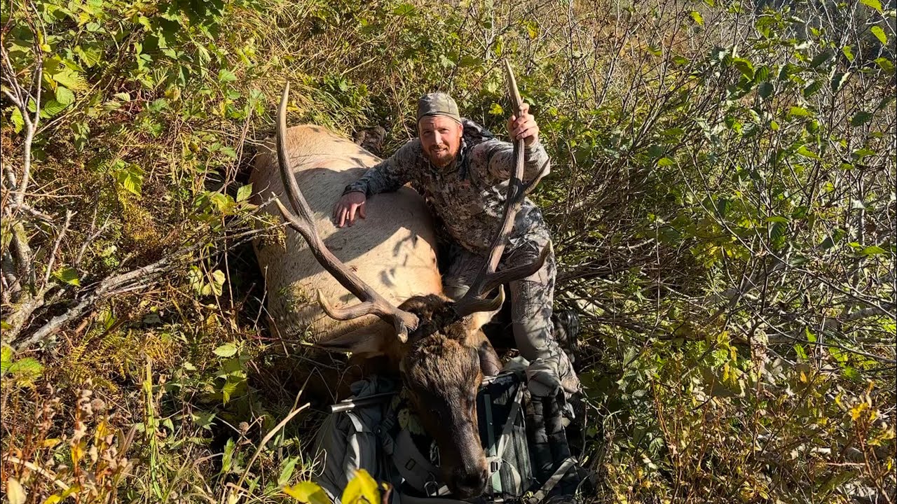 DIY - Afognak Alaska Roosevelt Elk hunting, 2023.