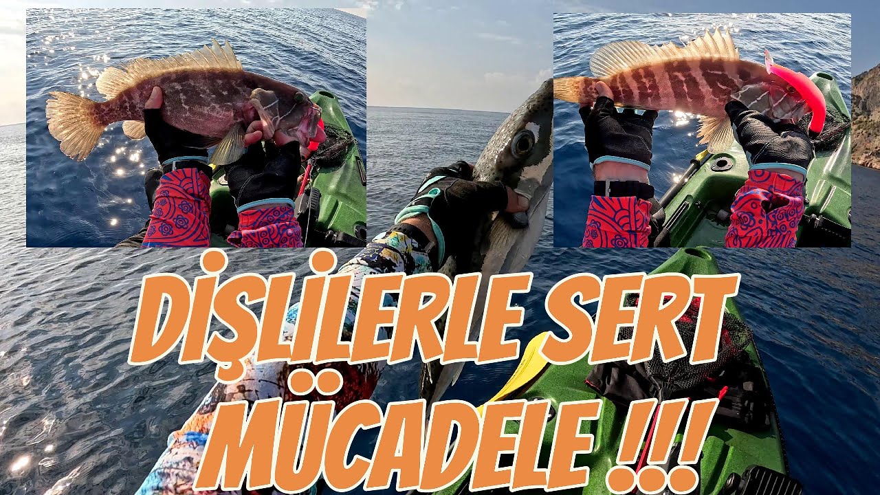 BALIK AVIMDA BÜYÜK ŞOK!!! MERSİN GRİDA AVI. 