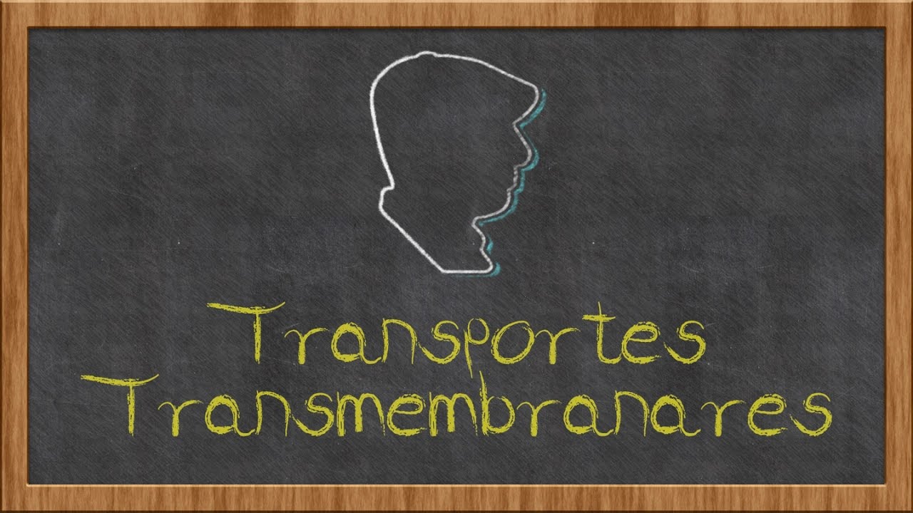 transportes transmembranares