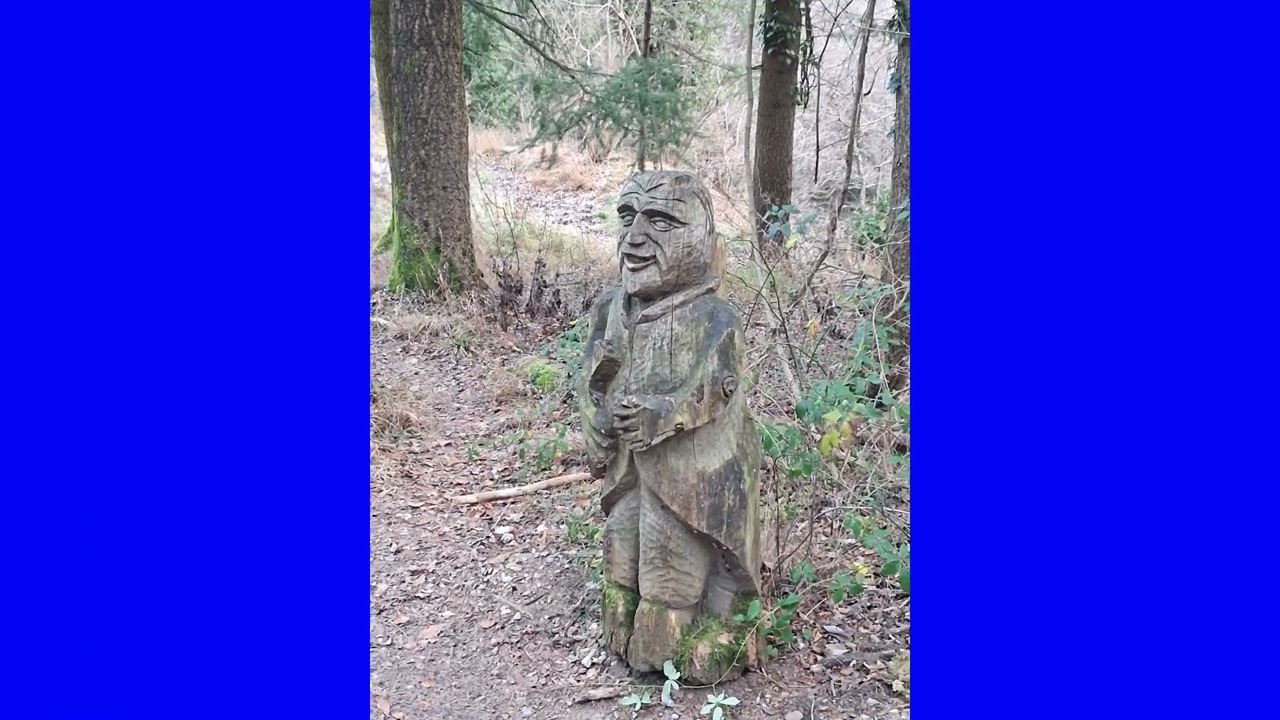 Sentiero spirito del bosco