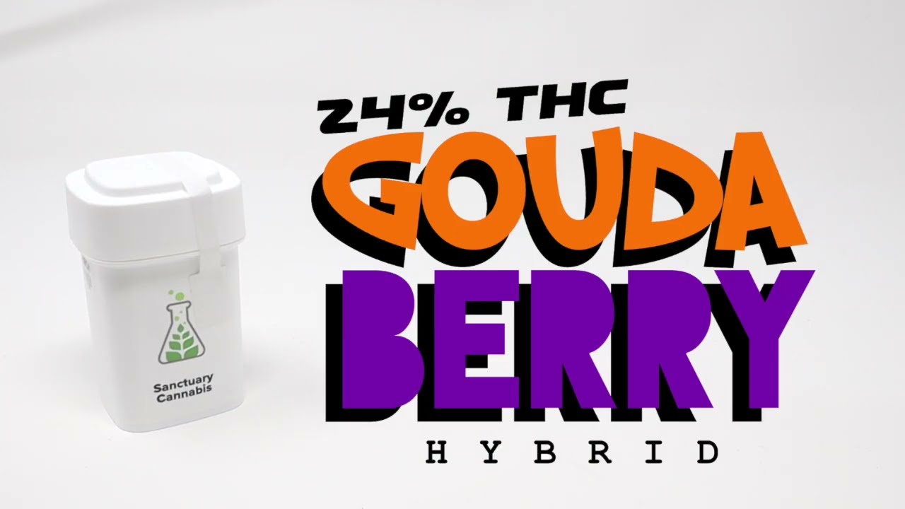 SANCTUARY $70 STRAIN UNBOXING!! - 24% THC - PAIN RELIEF!!